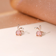 s999���y��ɫ؈��ʯ���Ӷ��Ů��ϵС���¿ɐ������OӋ�ж�����l