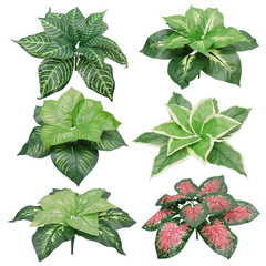 12頭把束萬年青波斯葉西瓜葉紅蓮植物牆配件餐桌裝飾工程酒店素材