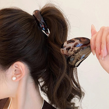 �Rβץ�AŤŤ�A�l�AŮ2025�¿�߶˰l�����㽶�A���X���Rβ�۰l��