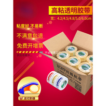 ����͸���z��������f��������z������z�����z���������z�����l