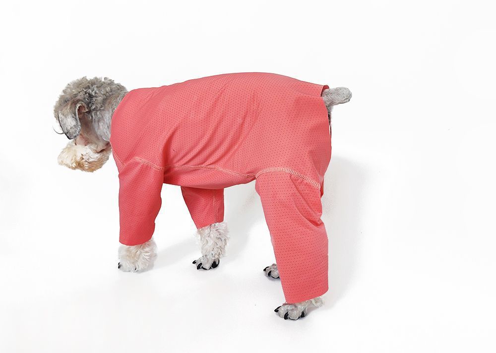Svalkande hundklänning för bichon solskydd och insektskydd_voghion.com