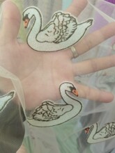 ���Z�W���W�۲��C�߲ʷ����Z�W��Ů�bͯ�b�W���W�۲�