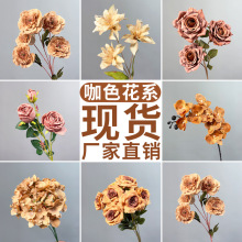 ��c��ɫϵ���滨�Ŀ�ɫ��ɫ��Y��·���b廨�������û�ˇ�ٻ�