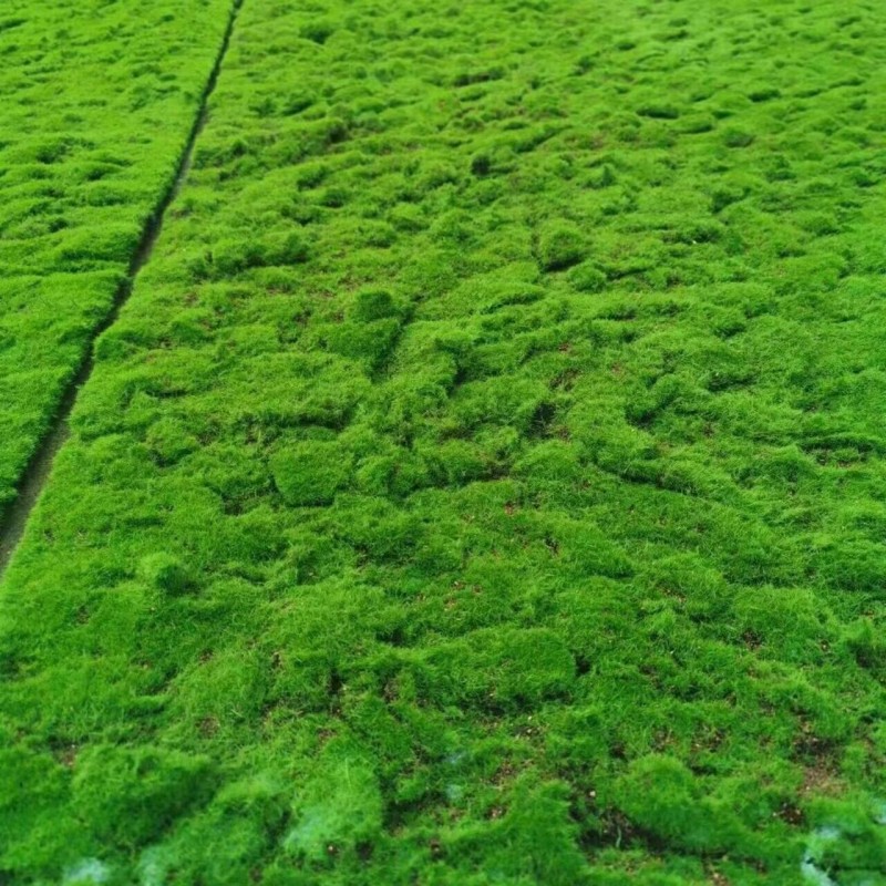 QQ图片20230901194825_副本