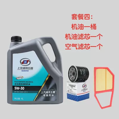 Gasoline Engine Oil Wuling, Suitable for All Seasons, Used - 4l-engine-oil-oil-filter-and-air-filter-please-specify-vehicle-model-and-engine-displacement-in-the-order-notes