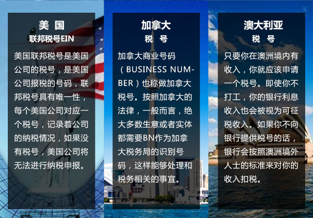 VAT税号申请专题-手机版(淘宝版)_03