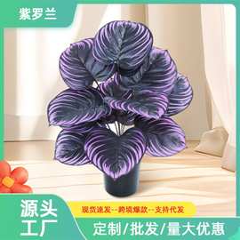 仿真植物紫罗兰万圣节装饰暗黑系家居客厅落地绿植跨境出口仿真花