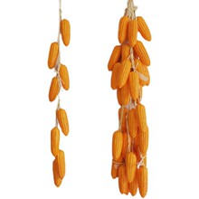 �����߲˴����������������r�Ҙ��ͥԺ�b��r����ģ�͒��