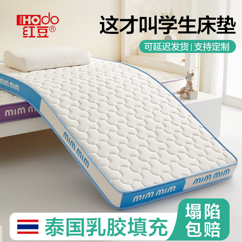 Latex Memory Foam Mattress Cover Soft Cushion for Home Bedroom Student Dormitory Single Tatami Bed Mattress Pad