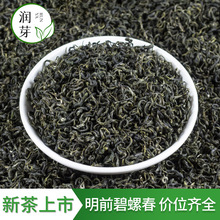 明前绿茶碧螺春茶叶新茶高山云雾绿茶散装批量现货碧螺春批发