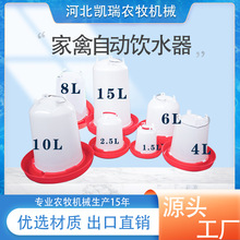 全自动小鸡喝水鸡用饮水器自动喂水器饮水壶水桶喝水槽鸡饮水器