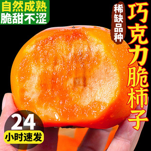 ������5�����Ӳ���Ӵ�������������rˮ��10�����ɿ�����Ƥ����