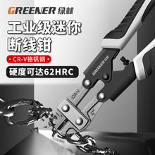 �G������ྀ�Q���i䓽z�F�z���Q�Ӵ����Ɖ��M��ʡ��䓽�����Q��