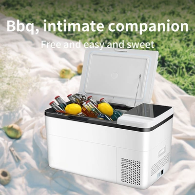 Student Dormitory Mini Refrigerator, Soyuducular