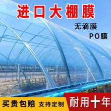 进口无滴膜大棚塑料膜抗老化防水透明蓝加厚高透光消雾膜保温膜