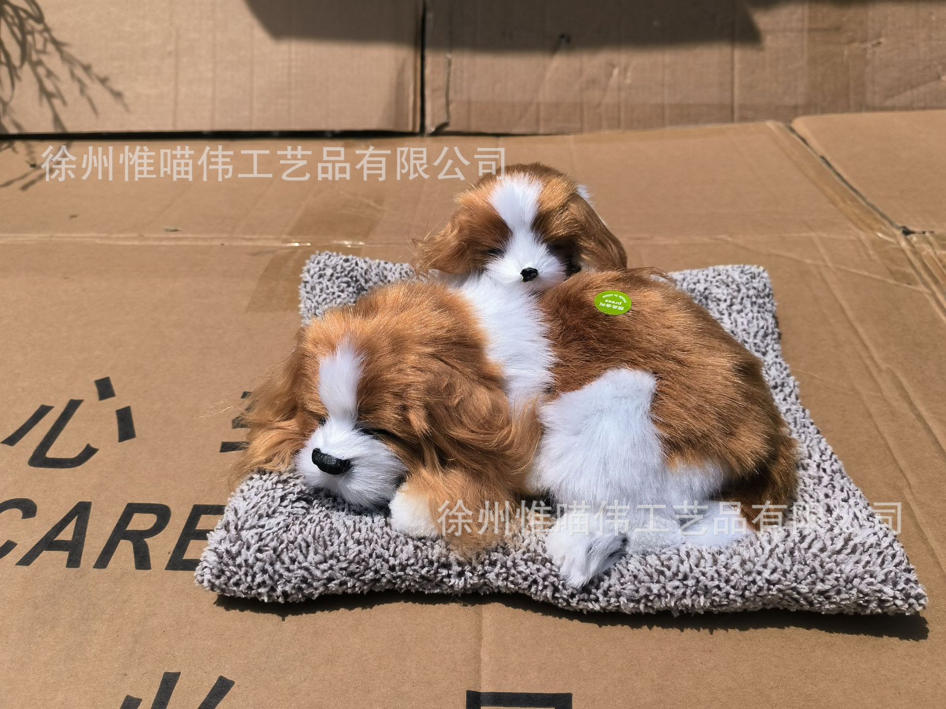 Madre e hijo Charlie se queda atrás + cabello gris