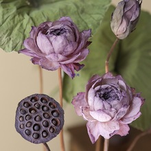 ��Ȼ�ɻ�ɏ����~�[���͏d�廨�b�Ʒ�U��������޾Ƶ�ܛ�b�滨��