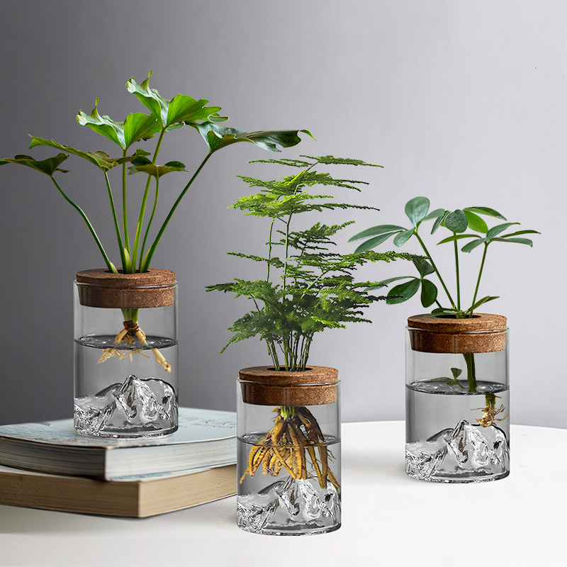 観山水培植物ガラス小花瓶透明鉢植えオフィスデスクトップ緑植微景観置物生態瓶|undefined