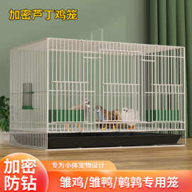 芦丁鸡笼子家用养殖笼加密雏鸡笼小鸡笼鹌鹑笼鸭笼柯尔鸭笼清仓厂