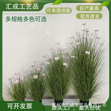 �����ɣ���Gֲ�ٲ݅����Է���ݶ����[�ݼҾ��˻�c�b��滨