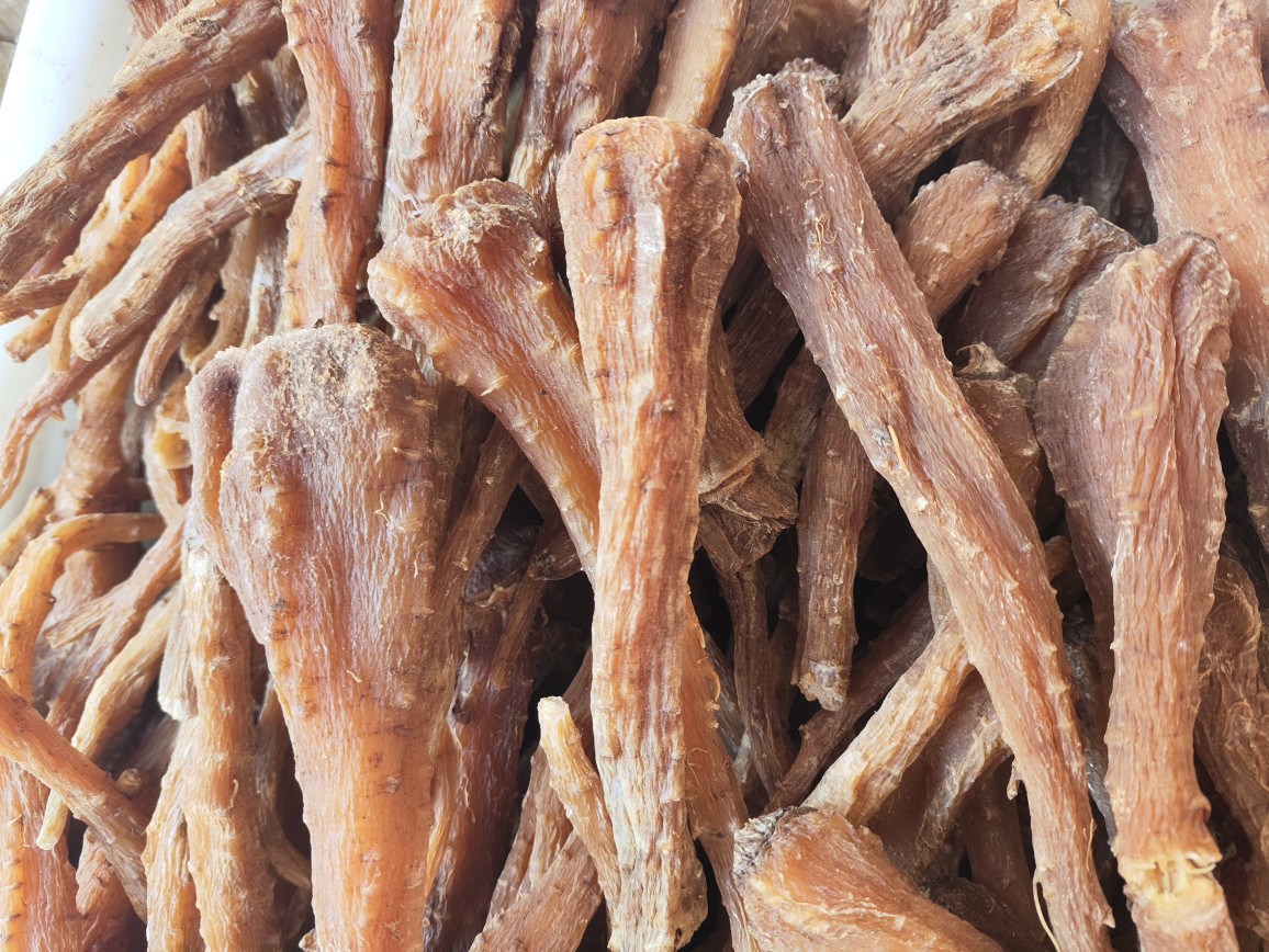Tibetan Snow Ginseng (藏雪参) — Rare Dried Herbal Root from Tibet, 500g key features