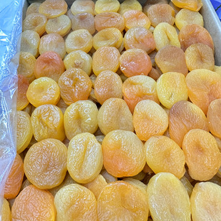 �������M���S�Ӹ� ɢ�b�o���Ӹ��Ӹ� �o�˴��Ӹ�10��ɢ�b���l