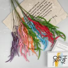 ��c����Gֲ��β�� ëë�x��c�bGɫ��ɫ���K���Ż�·������