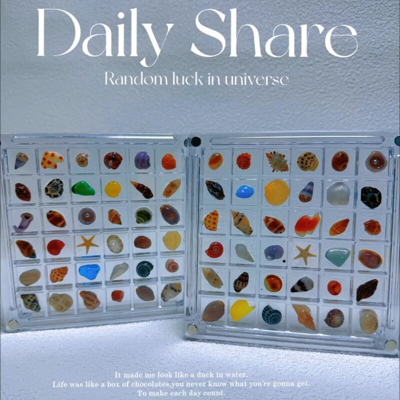 36-Grids Mini Shell Storage Box Magnetic Suction with Lid High Transparent Shell Display Storage Box Acrylic Shell Storage Box