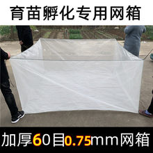 养蛇箱网养殖青蛙专用加厚60目水蛭水花鱼苗黄鳝锦鲤孵化育苗箱网