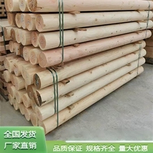 �������ľ������ľ����̼���A����ľ�����Aľ���Aľ��ԭľɼľ��