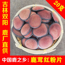 鹿茸红粉片高品质一件代发双阳鹿乡产地直发一手货源批发保真正品