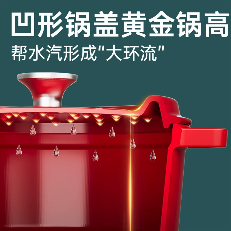 Cast iron pot Enamel pot Soup pot Stew pot Household kitchen hot pot Micro-pressure stew pot New style thickened with lid
