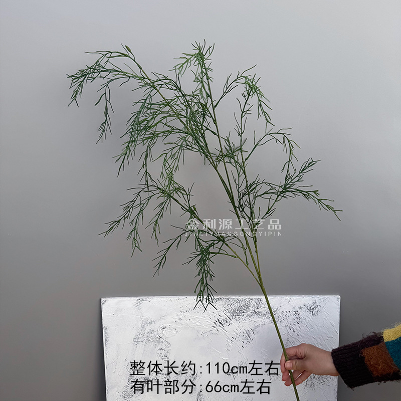 Lu Xuncao 짙은 녹색