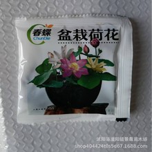 羳؛I͸԰ ӹɫСbܷN߲˷N