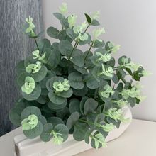 �羳PU�����ȼ�����c�������X�ݹ���ֲ����~�����ȼ����~���l