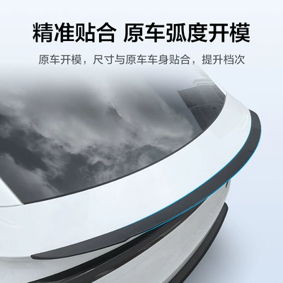Wing Tesla Car Spoiler Modification – Spoiler