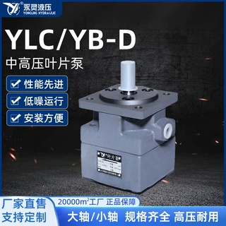 厂家YB-D 中高压叶片泵 应用自动线交通农业机械稳定液压油泵定制