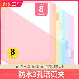 亚马逊热销三孔文件夹pp分类式索引页马卡龙色文件保护袋文件袋