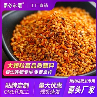 S豪华版经典延边烧烤蘸料撒料调味料蘸撒两用烤肉店商用批发