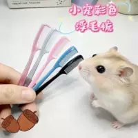 长毛金丝熊仓鼠养护指南2026