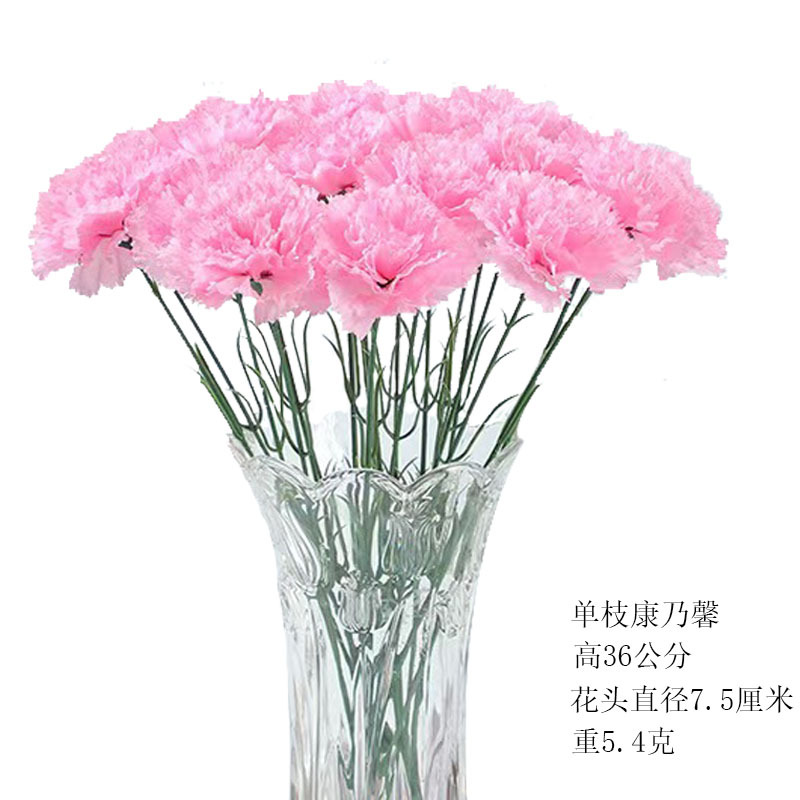 Simulation single carnation Mother's Day Teachers' Day gift simulation flower silk cloth accessories fake flowers wholesale and retail spot