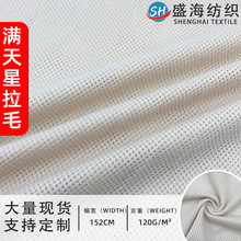 现货180g满天星拉毛网布 箱包手袋鞋材服装面料网眼布 满天星刷毛