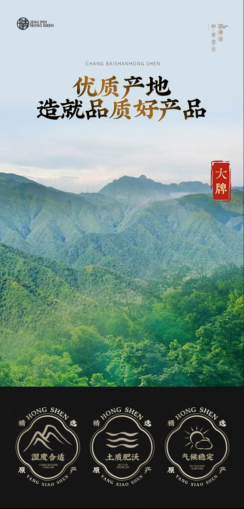 Jie Geng Slices (Platycodon grandiflorus) — Dried Food Herb Root for Tea & Soup, 500g overview