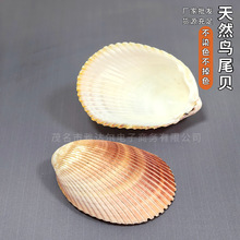 ��Ȼ����ؐ���Bβؐ����ؐ��Hؐ����Ů�ф����@ϲ�Y���ɺ��