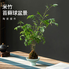 ������_̦�\��������ɫ�մɽ�ˮ�PС̖��ɽ�P�҃�����Gֲ�[��