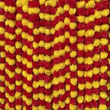 �羳�f�۾ջ���ӡ�Ȼ�c�b���ī�������`�����ϻ��h�Ɍ���Ʒ