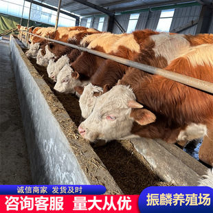 ɽ�|�Bţ�������Sţ���T����ţ��ľٝţСţ����ţ��ţ������ţ��