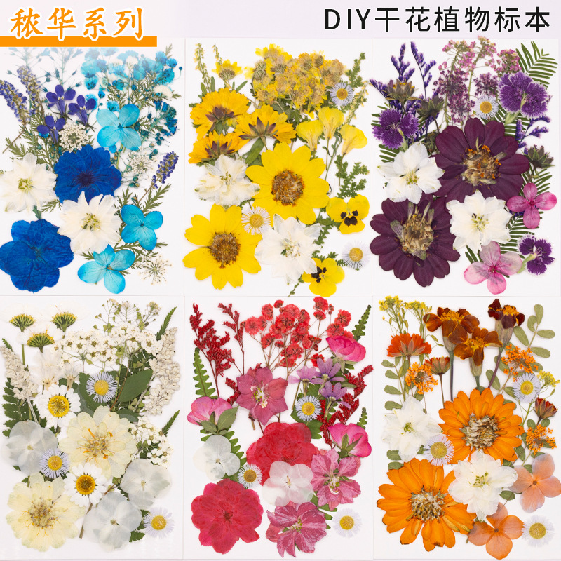 干花DIY押花写真植物标本书签压花材料包 画材料真花滴胶干树叶