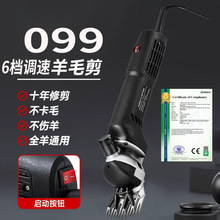 �羳�����綯��ë����ë�綯��ë������ë����ë���ʵ綯������