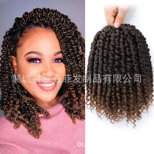 8-14in European and American Chemical Fiber Double-stranded Pre-twisted passion twist African Dirty Braid Wig